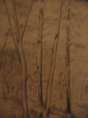 Trees and Cottage Pen and Ink